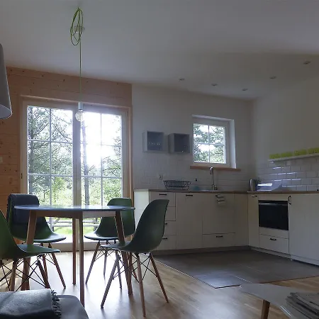 Scandinavian Style House Powalczyn